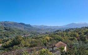 La collina degli ulivi